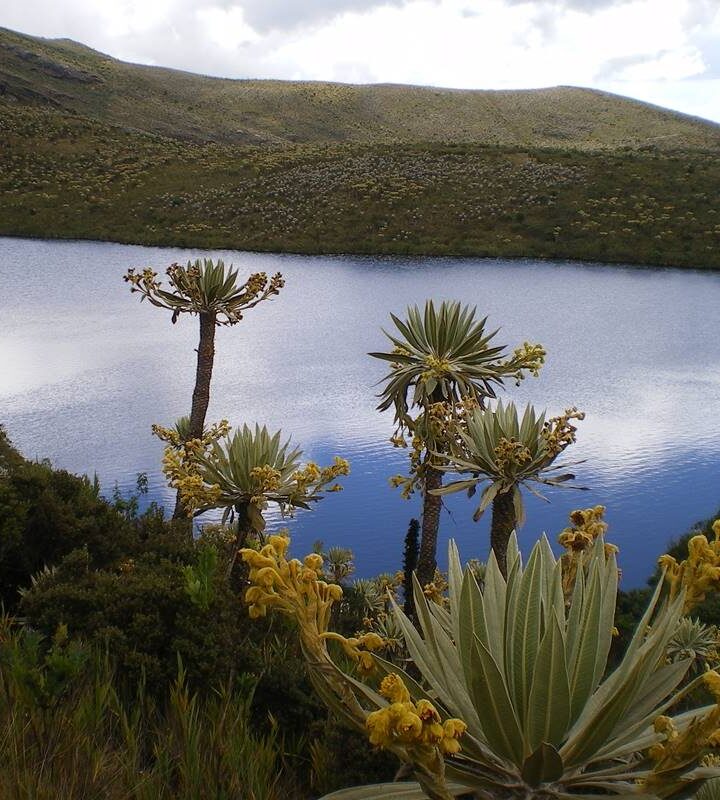 Caminatas- Ecológicas -en -Bogotá- Cundinamarca-ecoturismo-colombia