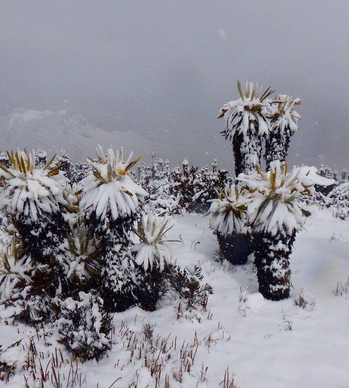 Parque Nacional Natural Los Nevados