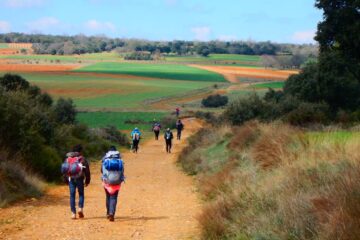 Camino de Santiago
