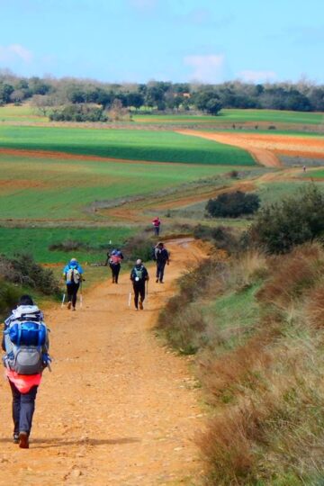 Camino de Santiago