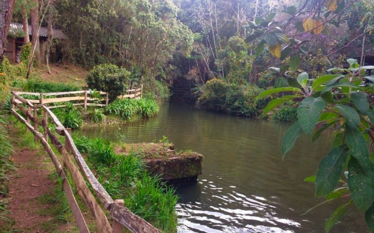 Caminata-ecologica-Santa- Elena-Antioquia-ecoturismo-colombia