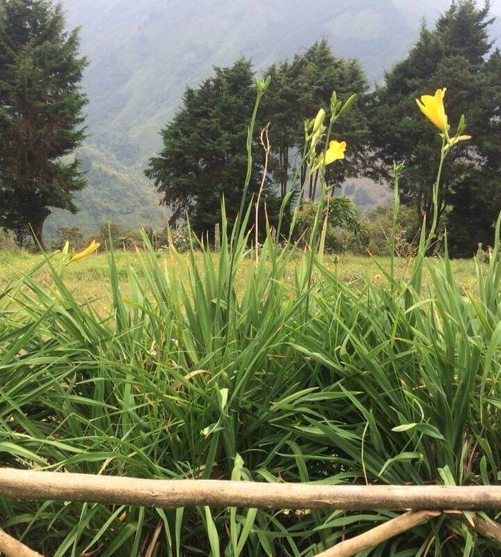 Caminata Cascadas La Volcana y Los Azules Palmitas