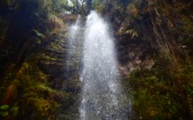 Caminata Ecológica Cascada Matarredonda