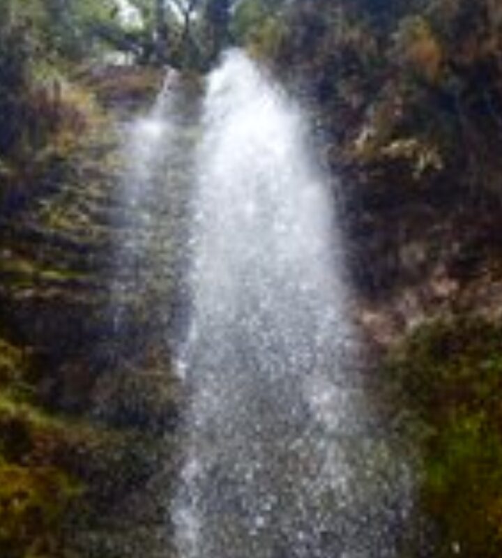 Caminata Ecológica Cascada Matarredonda