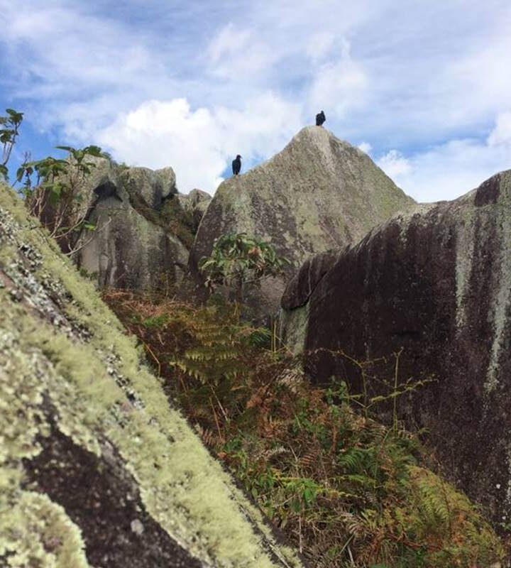 Caminata_Ecológica Piedras_del_Encanto_con_la Flor_de_Esmeralda