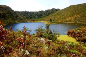 Caminata_Ecológica Lagunas_La_Petaca y Arco_Iris