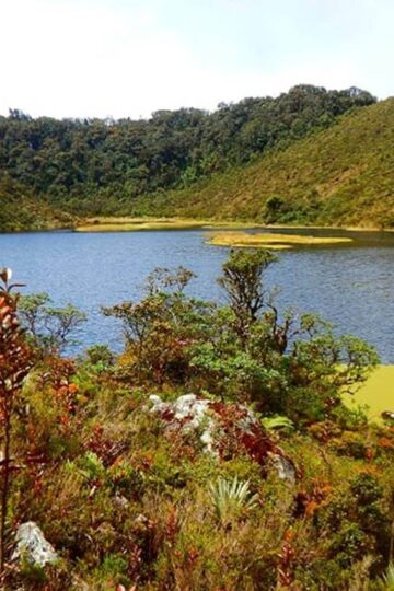 Caminata_Ecológica Lagunas_La_Petaca y Arco_Iris