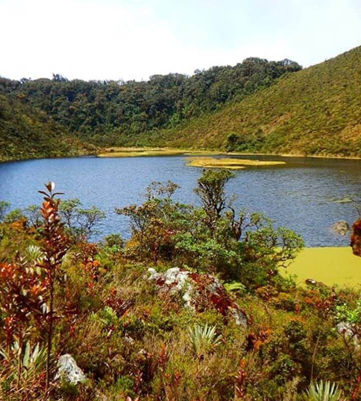 Caminata_Ecológica Lagunas_La_Petaca y Arco_Iris