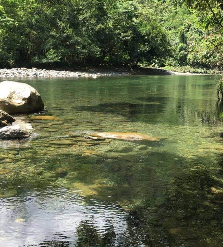 Fundación Humedales de Bogotá