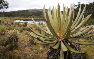 Imagen de cabecera de Política de Sostenibilidad