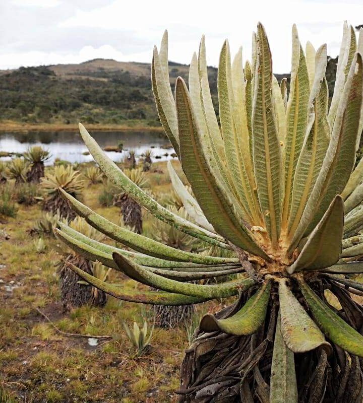Política de Sostenibilidad