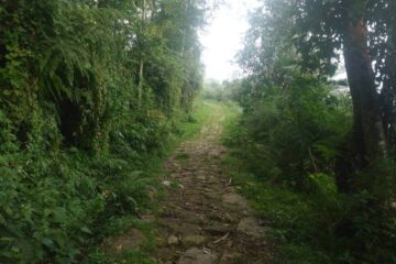 Caminata Ecológica Cachipay - El Ocaso