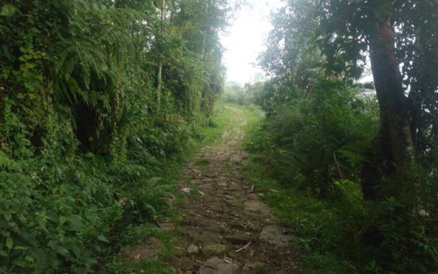 Caminata_Ecológica Camino_Real Cachipay_Zipacón