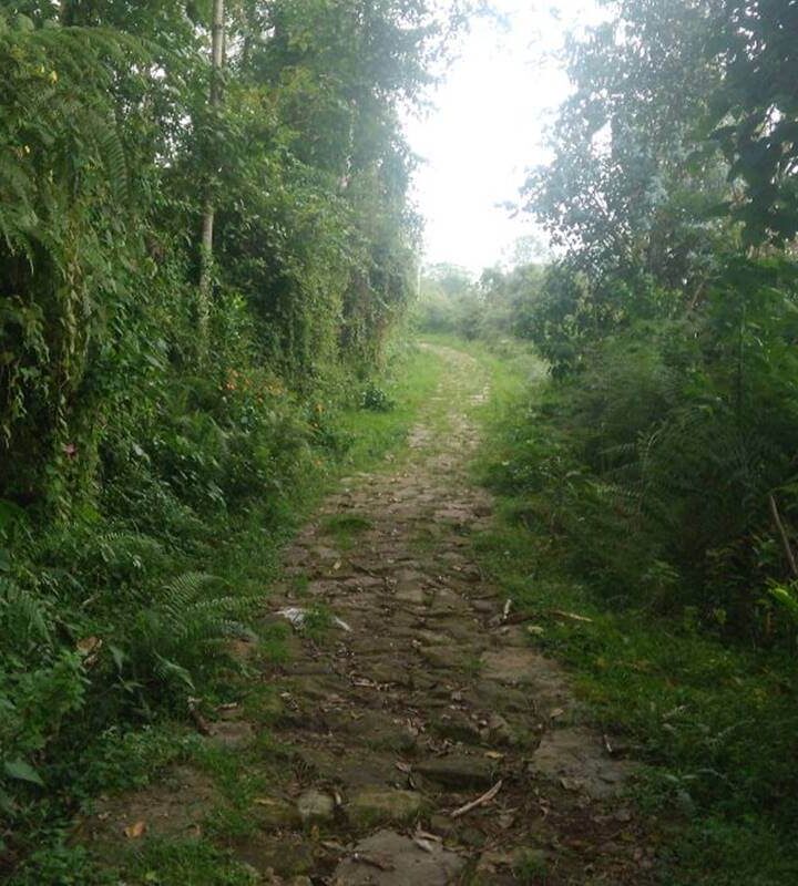 Caminata Ecológica Cachipay - El Ocaso