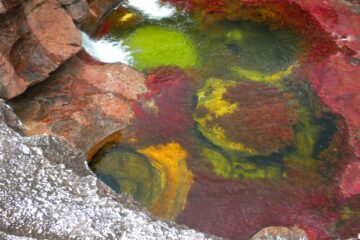 Caño Cristales Serranía de la Macarena