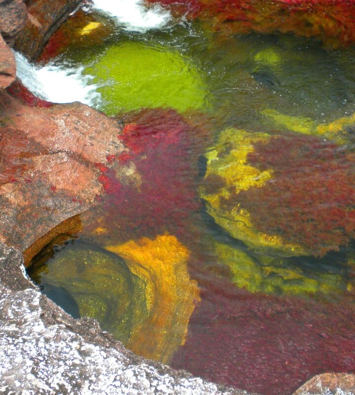 Caño Cristales Serranía de la Macarena