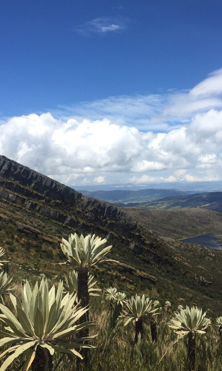 Caminata Ecológica PNN Chingaza - Lagunas de Siecha