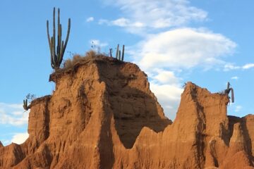 Expediciones al Desierto de la Tatacoa