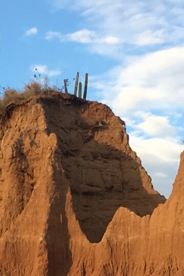 Expediciones al Desierto de la Tatacoa