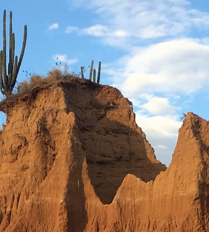Expediciones al Desierto de la Tatacoa