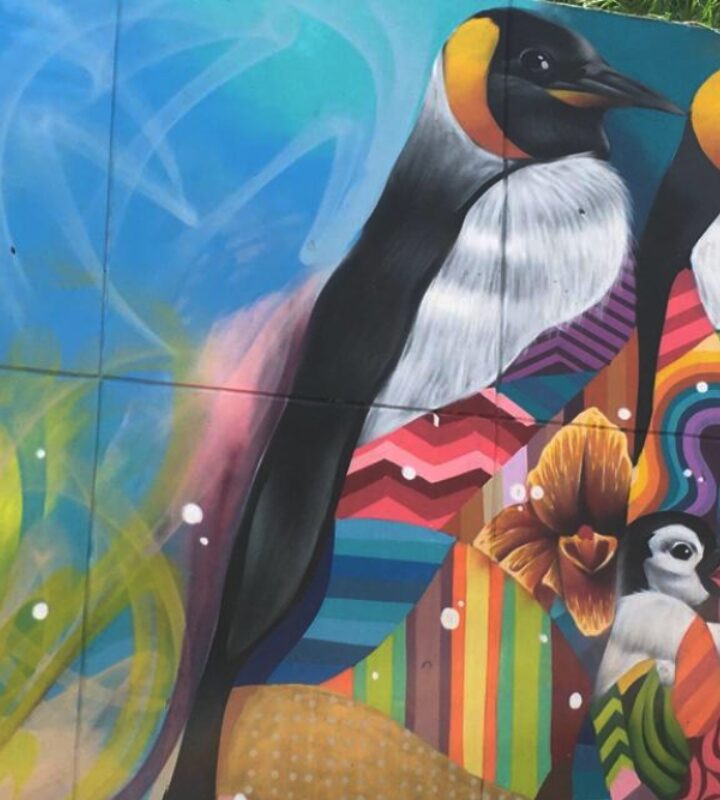 graffitour-la-transformacion-de-la-comuna-13-medellin