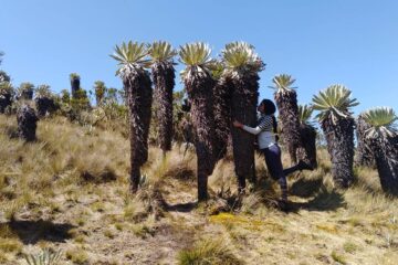 Páramo de Ocetá (Monguí Boyacá)