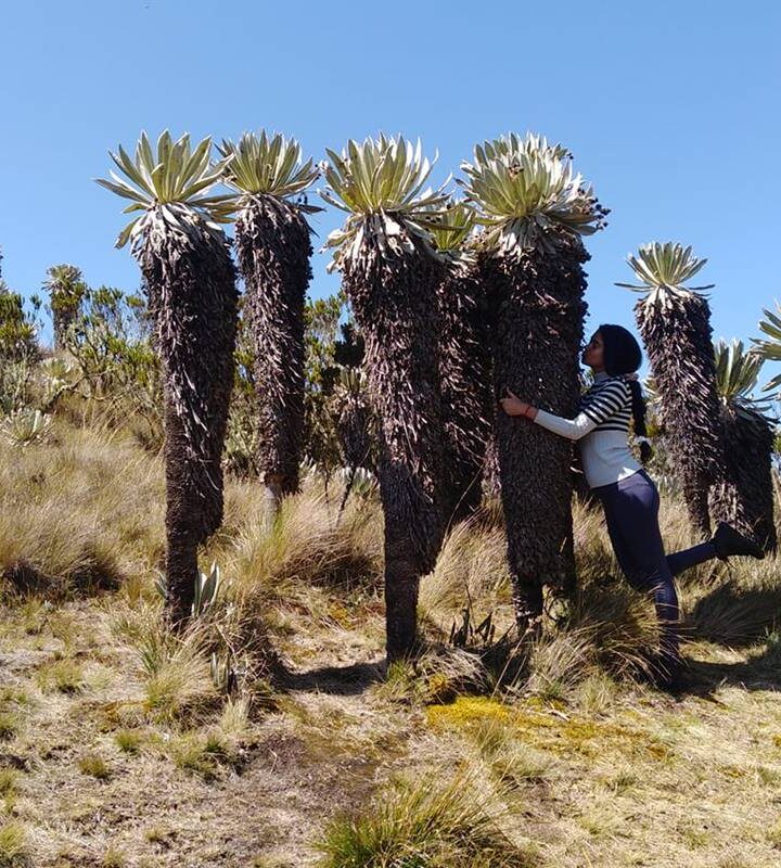 Páramo de Ocetá (Monguí Boyacá)