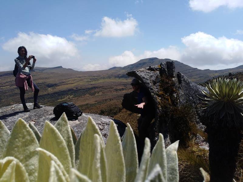 Paisaje