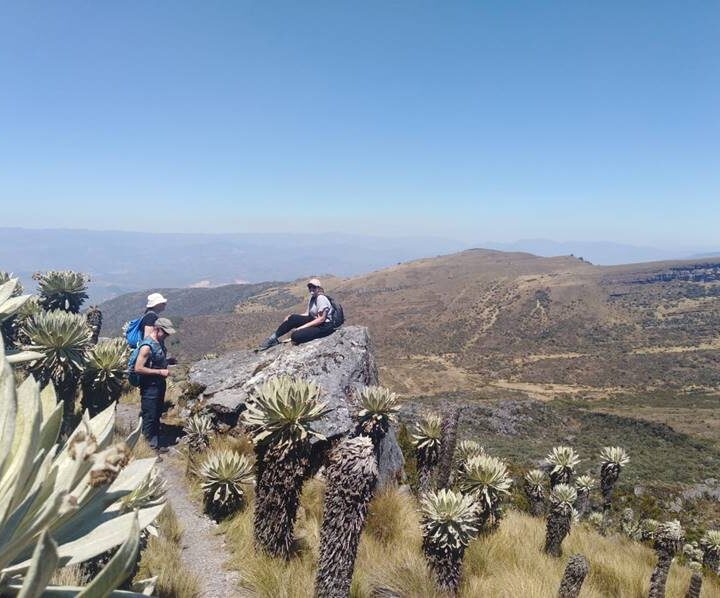 Páramo de Ocetá (Monguí Boyacá)