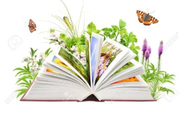 Imagen de cabecera de Nature and Travel Books