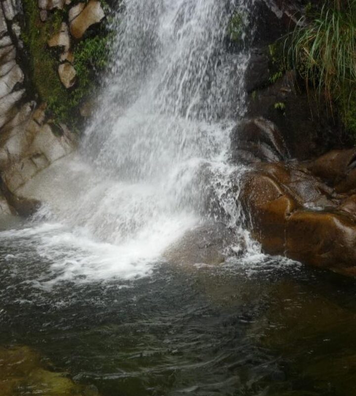 Ciudad Bolivar Charco de los Patos – PORTADA 2