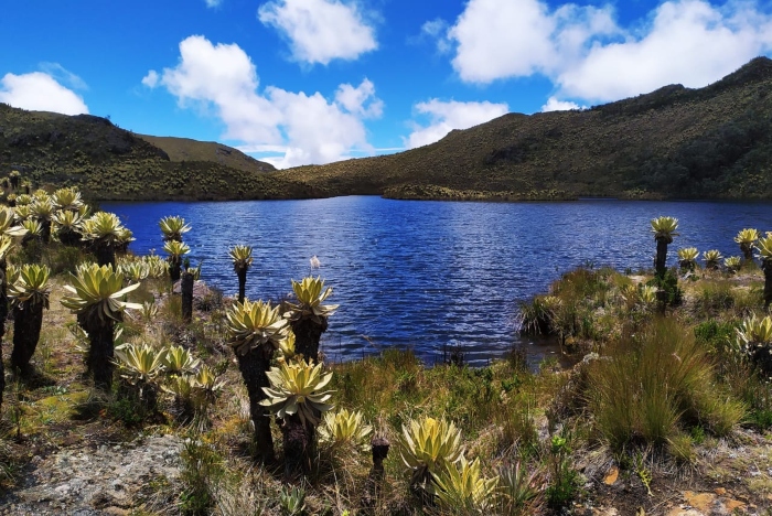 paramo del sol trek