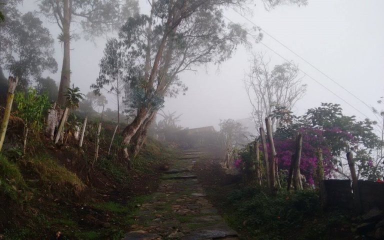 Caminata_Ecológica Cachipay Las_Escaleras
