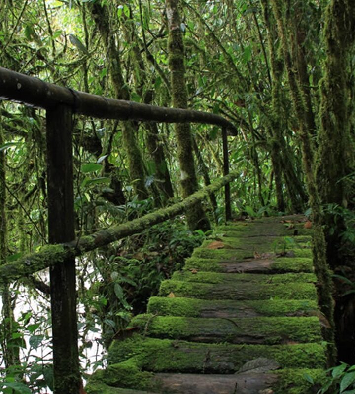 Santuario de Fauna y Flora Otún Quimbaya