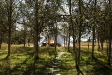 Glamping Niddo