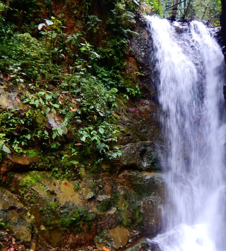 Cascada La Bramadora