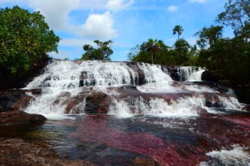 Caño Cristales Serranía de la Macarena