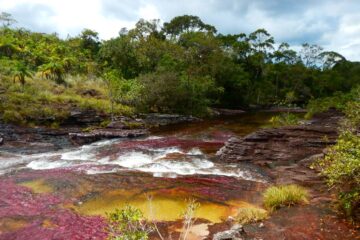 Caño Cristales Serranía de la Macarena