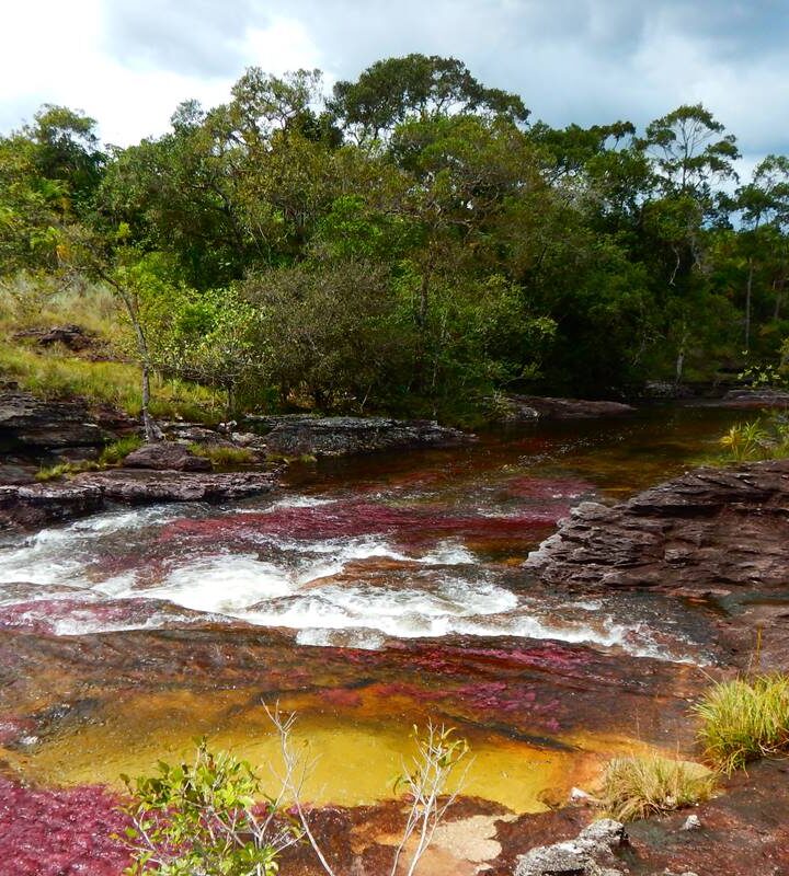 Caño Cristales Serranía de la Macarena
