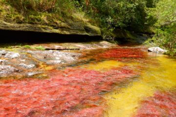 Caño Cristales Serranía de la Macarena