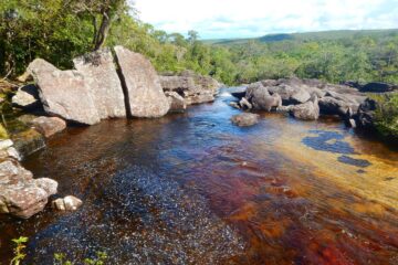 Caño Cristales Serranía de la Macarena