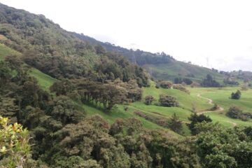 San Felix Truchera Las Huertas