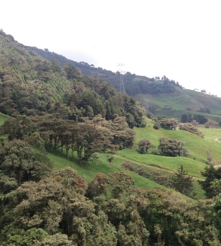 San Felix Truchera Las Huertas