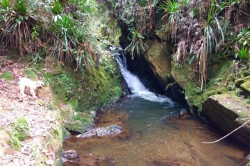 Barro Blanco - Chorro Clarin