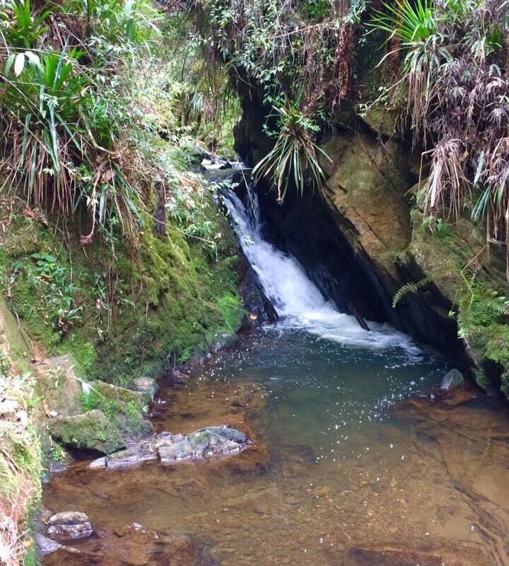 Barro Blanco - Chorro Clarin