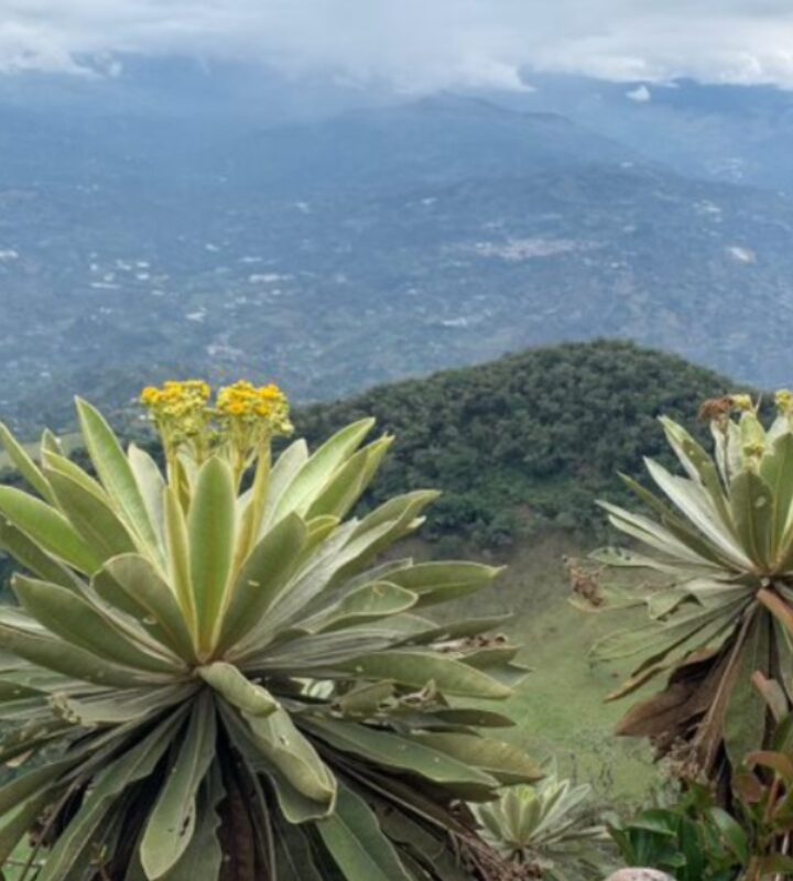 Caminata Ecológica “Tres cumbres de Choachí – Ubaque y una Laguna Sagrada”