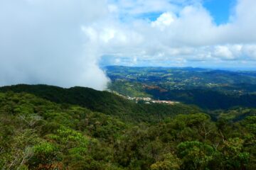 Caminata_Ecológica Reserva_San_Sebastián La_Castellana