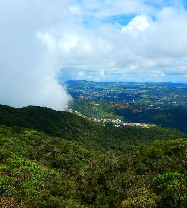 Caminata_Ecológica Reserva_San_Sebastián La_Castellana
