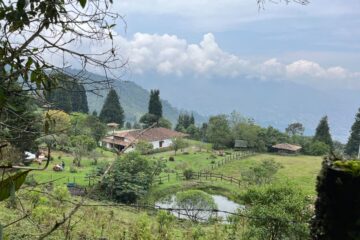 Caminata por la Reserva Ecológica La Romera