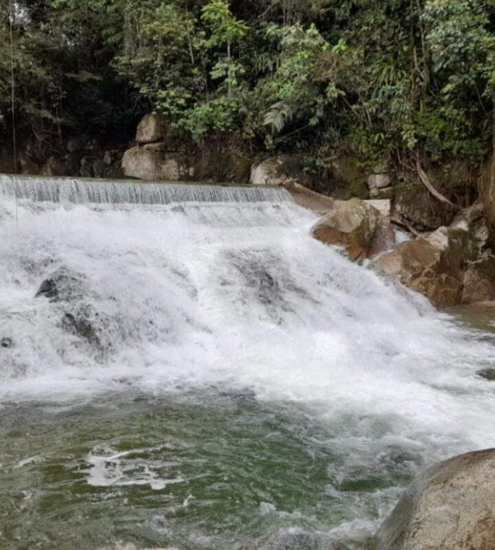 Caminata Ecológica Mirador del Alto de Brasil - Río Santa Gertrudis - Cisneros